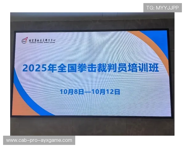 国际拳击职业赛裁判轮值制度与透明化措施，拳击裁判规则